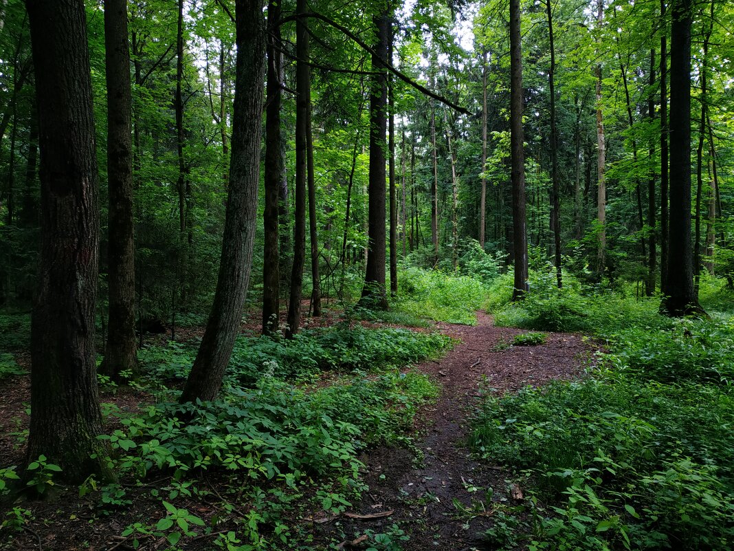 * * * - Андрей Лукьянов