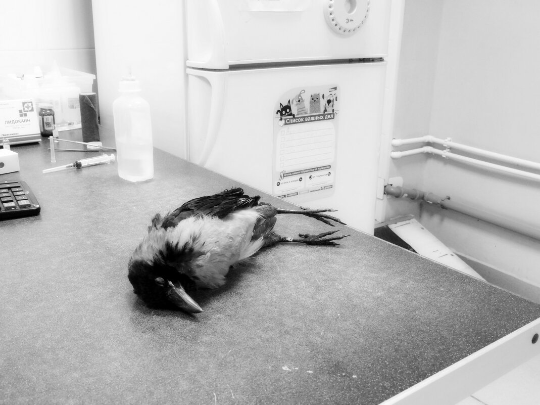 Список важных дел - Maria Rainer