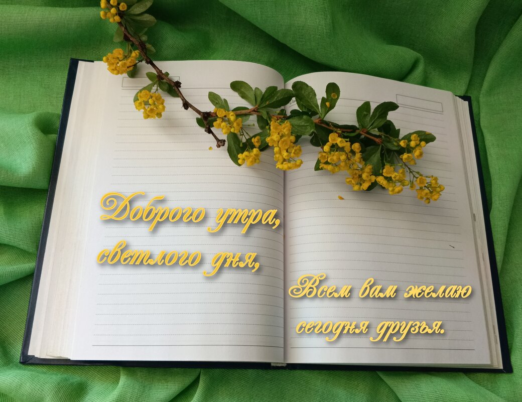 Пожелание - Любовь Сахарова