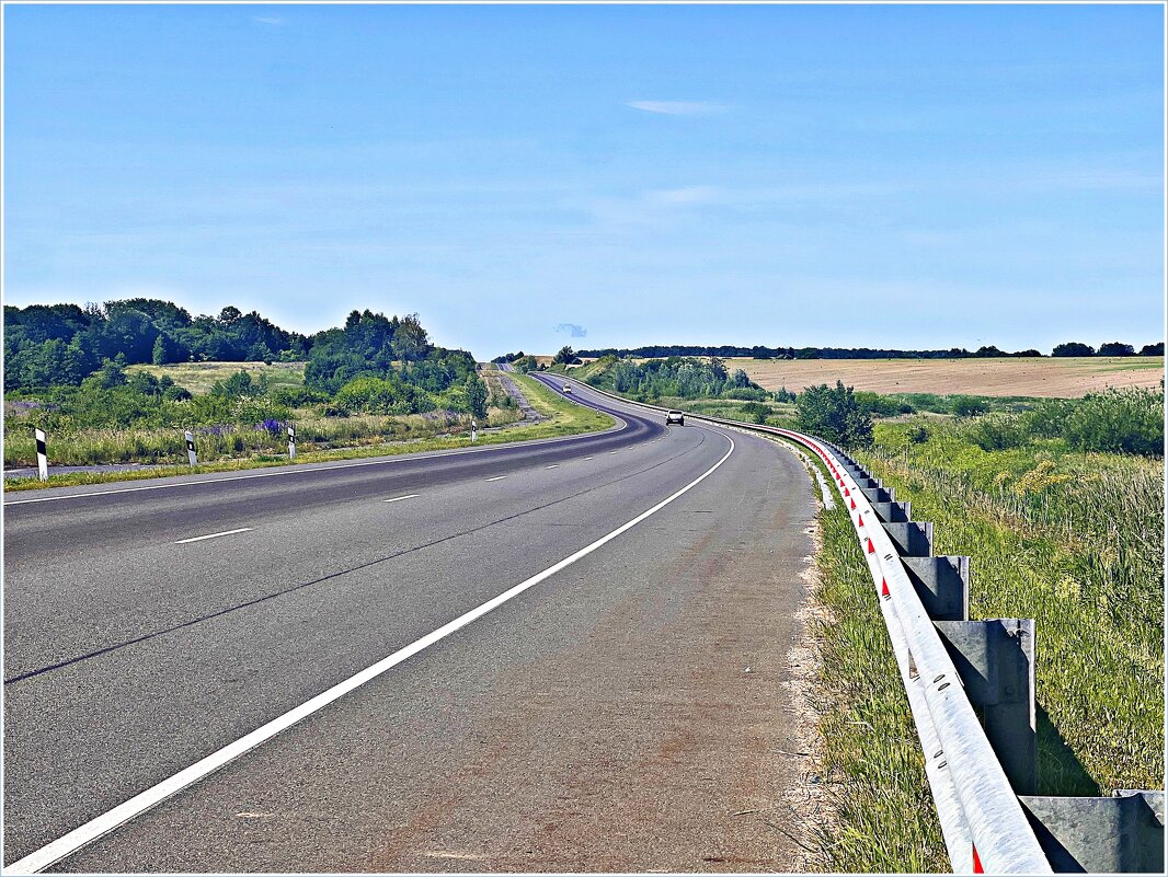 Дорога в лес. - Валерия Комова