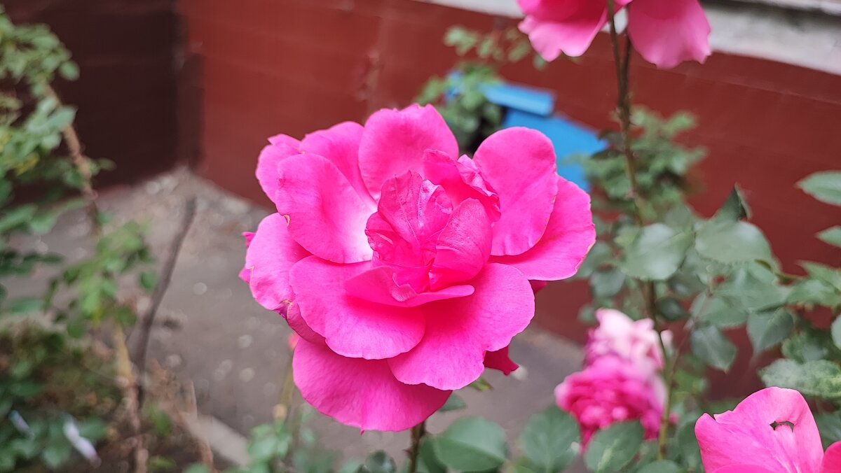 ,,, - Сергей Тимоновский