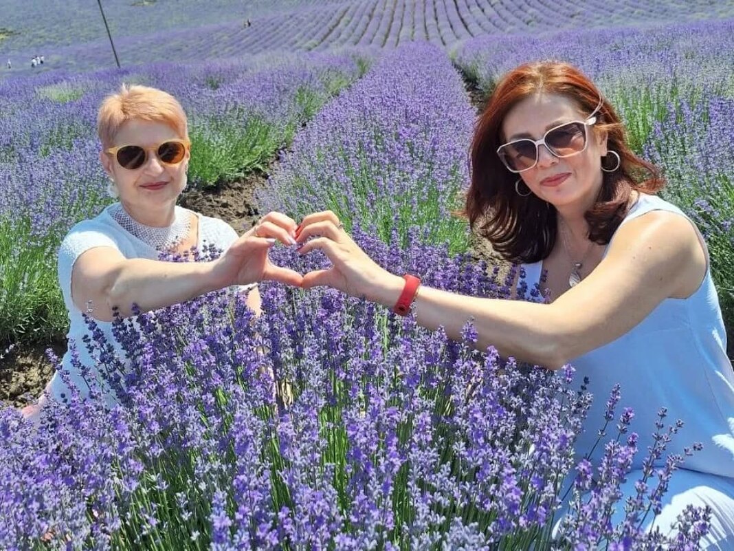 лаванда цвіте - Степан Карачко