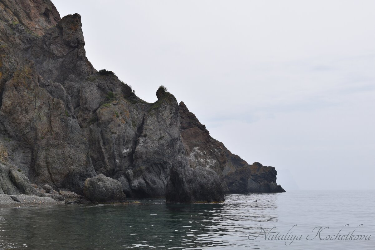 Природа Крыма - Amazing Cosmea