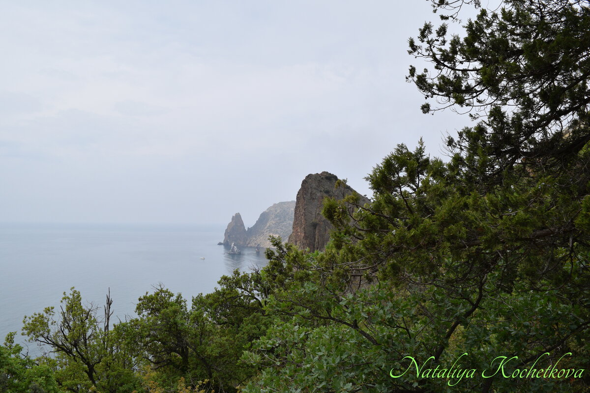 Природа Крыма - Amazing Cosmea