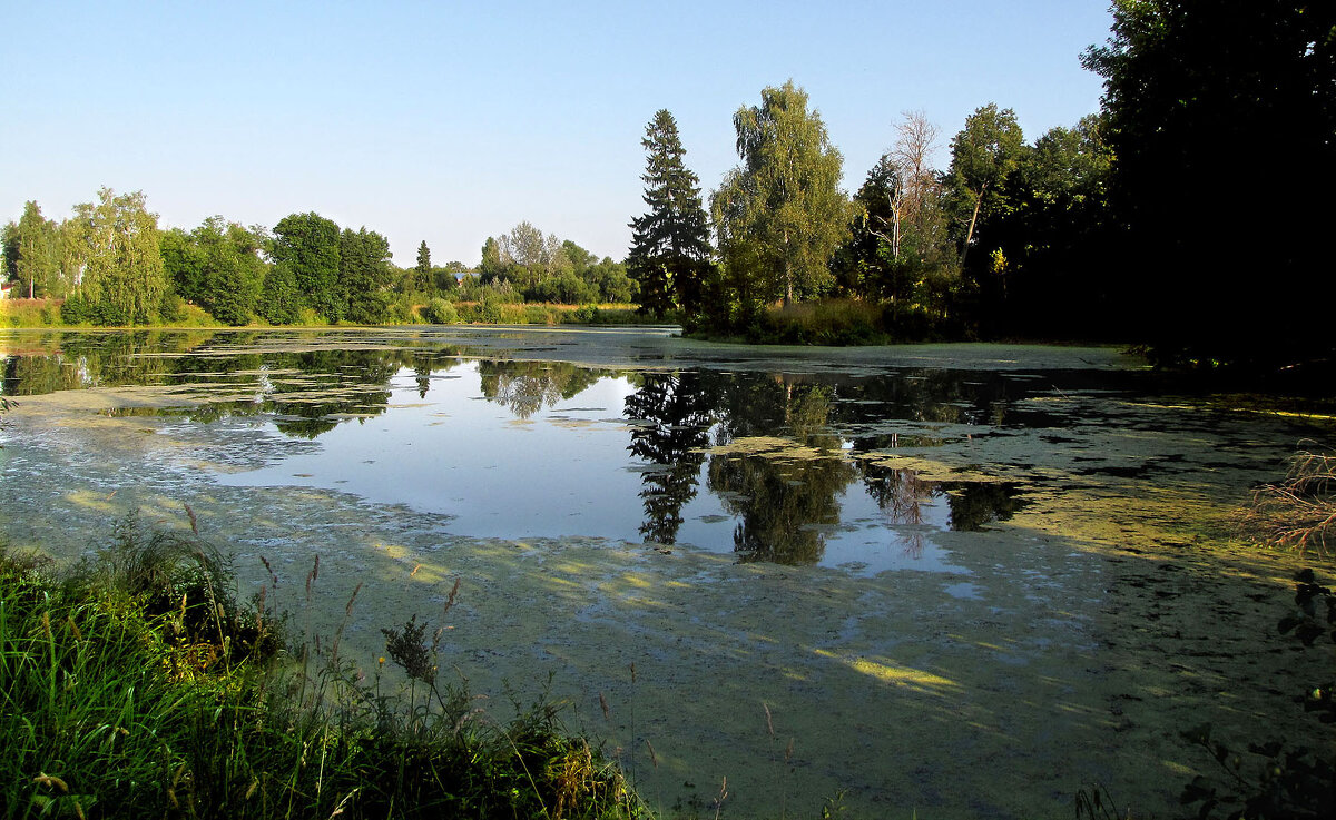 Барский пруд - Александр Ильчевский 