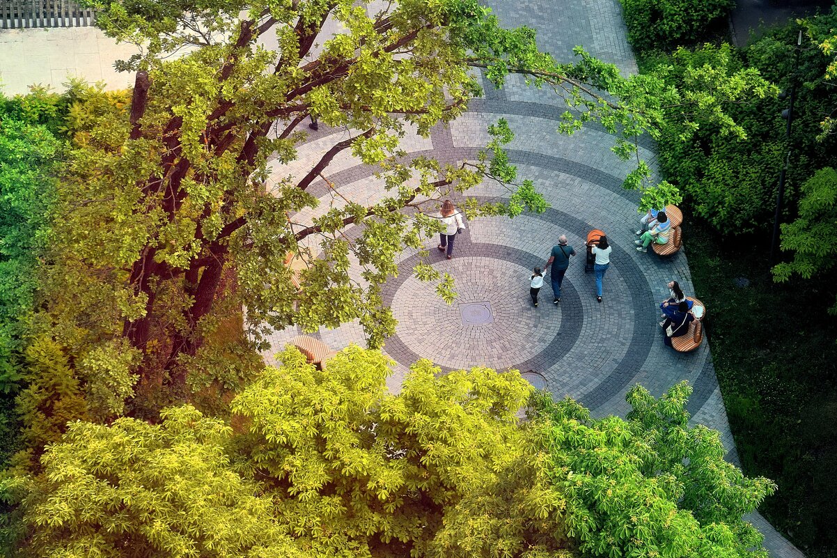 Воздушное путешествие. - Татьяна Помогалова