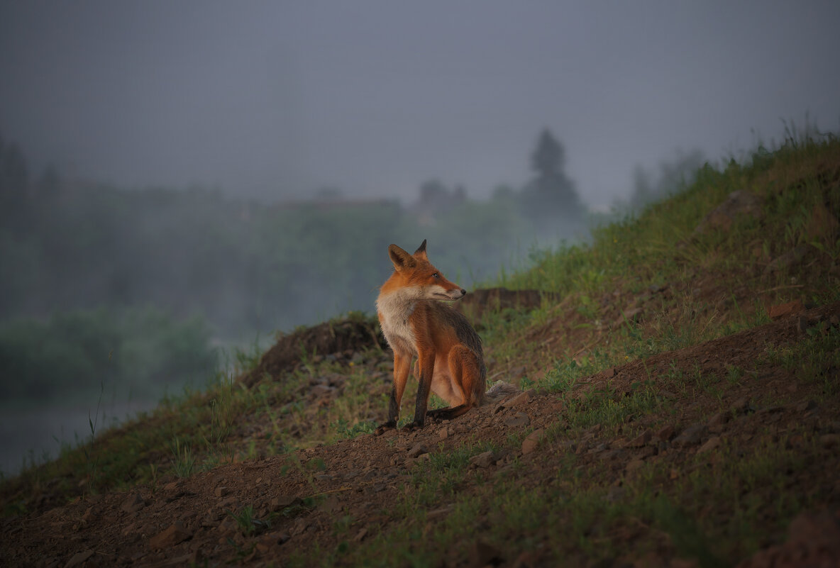 * - Александр Иванов