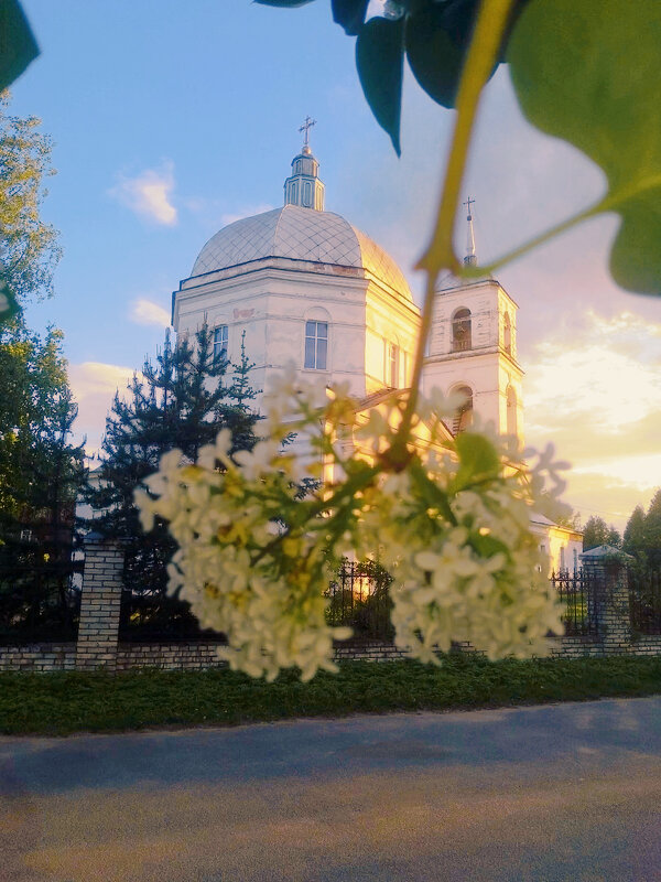 Весенний день - Сергей Кочнев