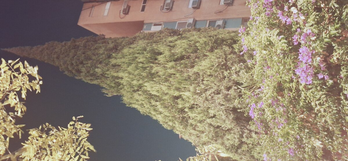 13  ОПЕН (185) - OPEN WAYS ALL