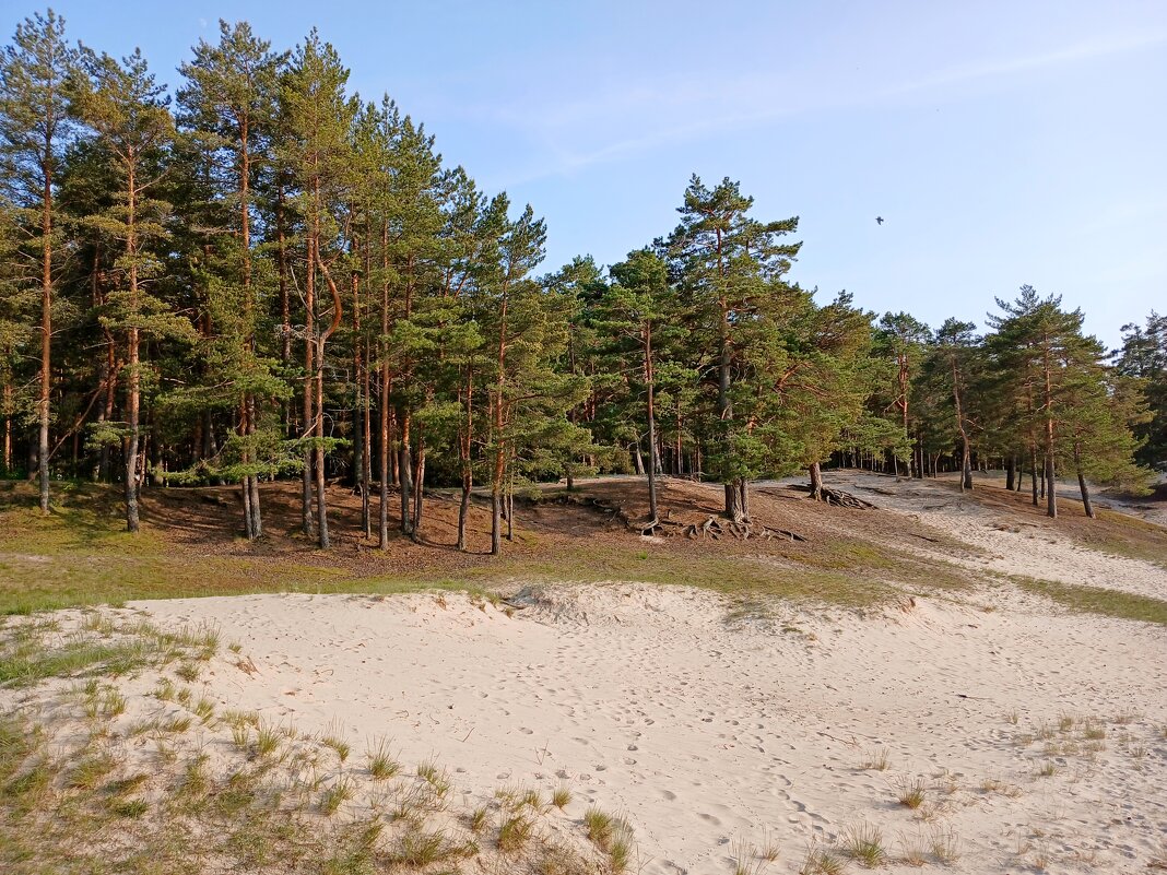 Природный парк "Белые пески". - Лия ☼