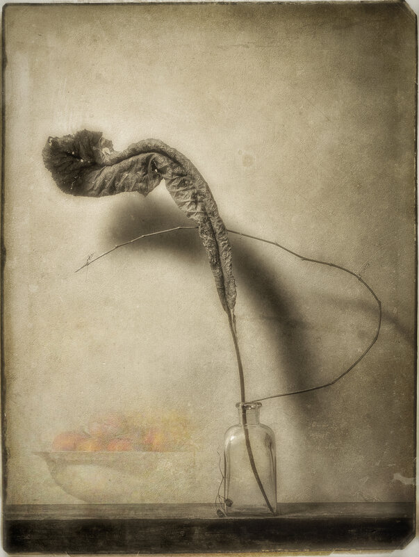 *** - Oleg Rastorguev