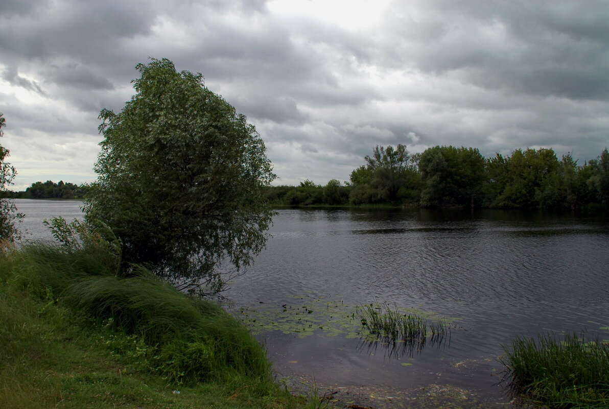 ... - Елена Пономарева