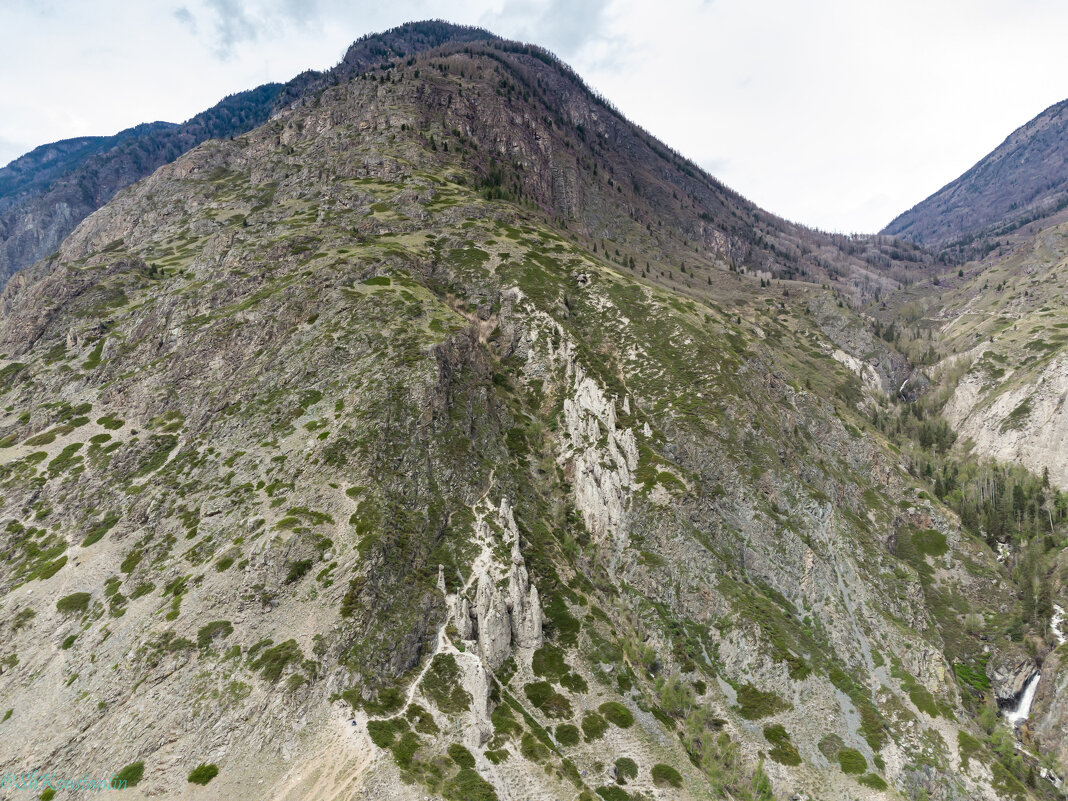 Каменные грибы - Константин Шабалин