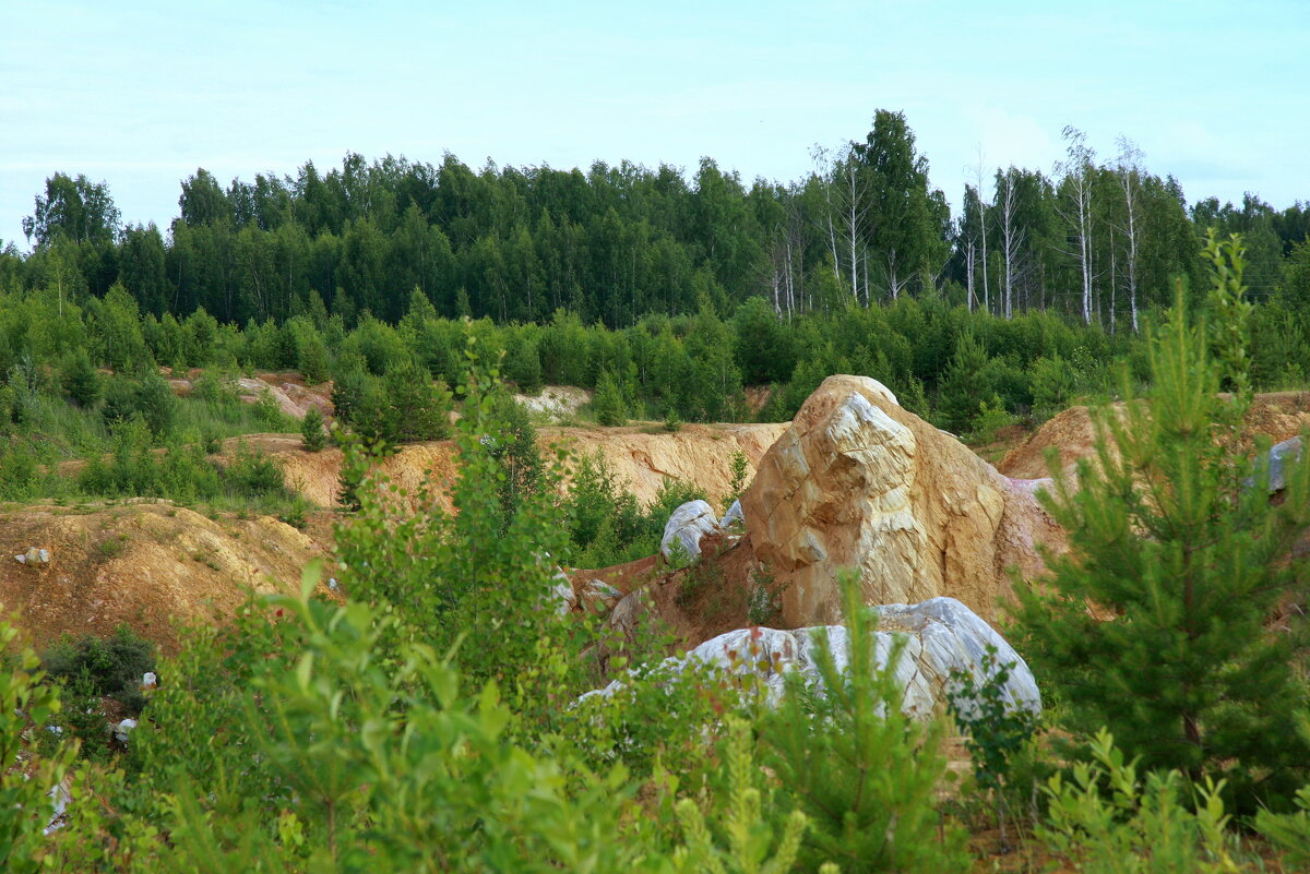 Золотое ущелье - Нэля Лысенко