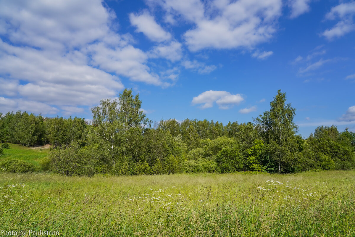 Под небом июня... - Владимир Жданов