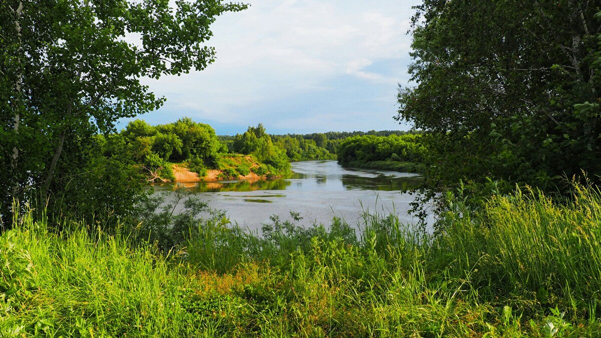 Живописные берега Днепра. - Милешкин Владимир Алексеевич 