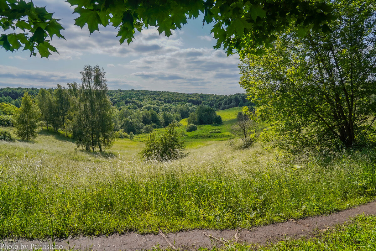 Палитра июня... - Владимир Жданов