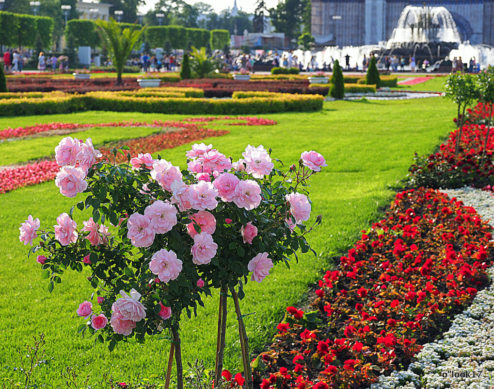 лето в городе - Олег Лукьянов лето в городе - Олег Лукьянов