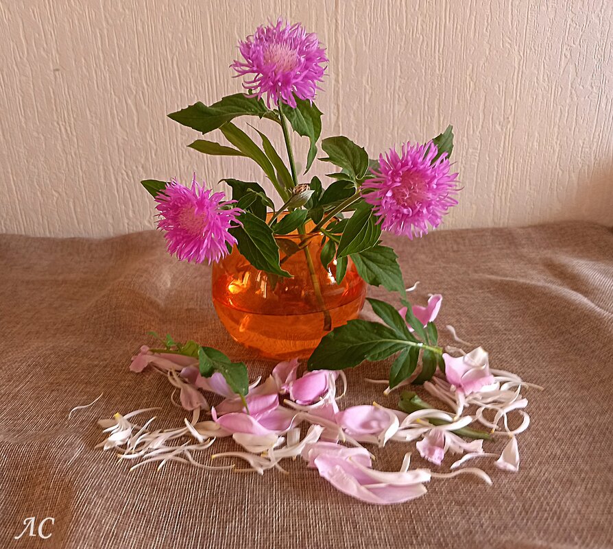 Композиция - Любовь Сахарова