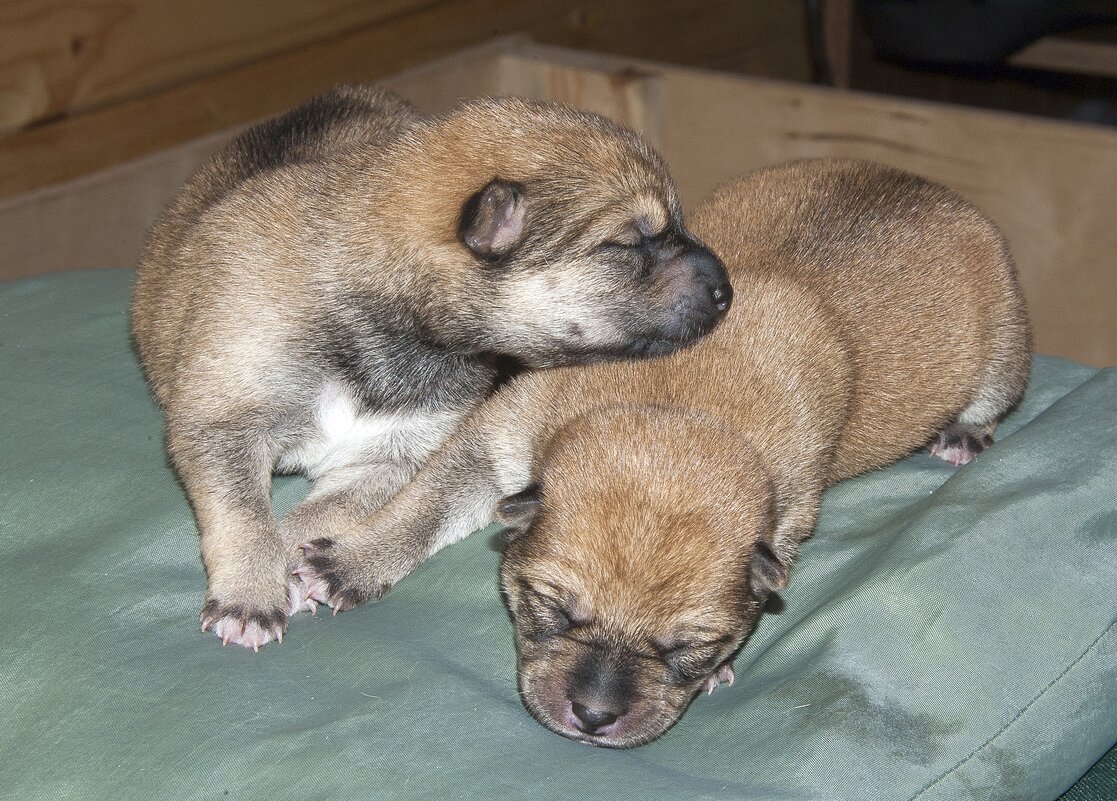 Жизнь только начинается - Валерий Иванович Жизнь только начинается - Валерий Иванович