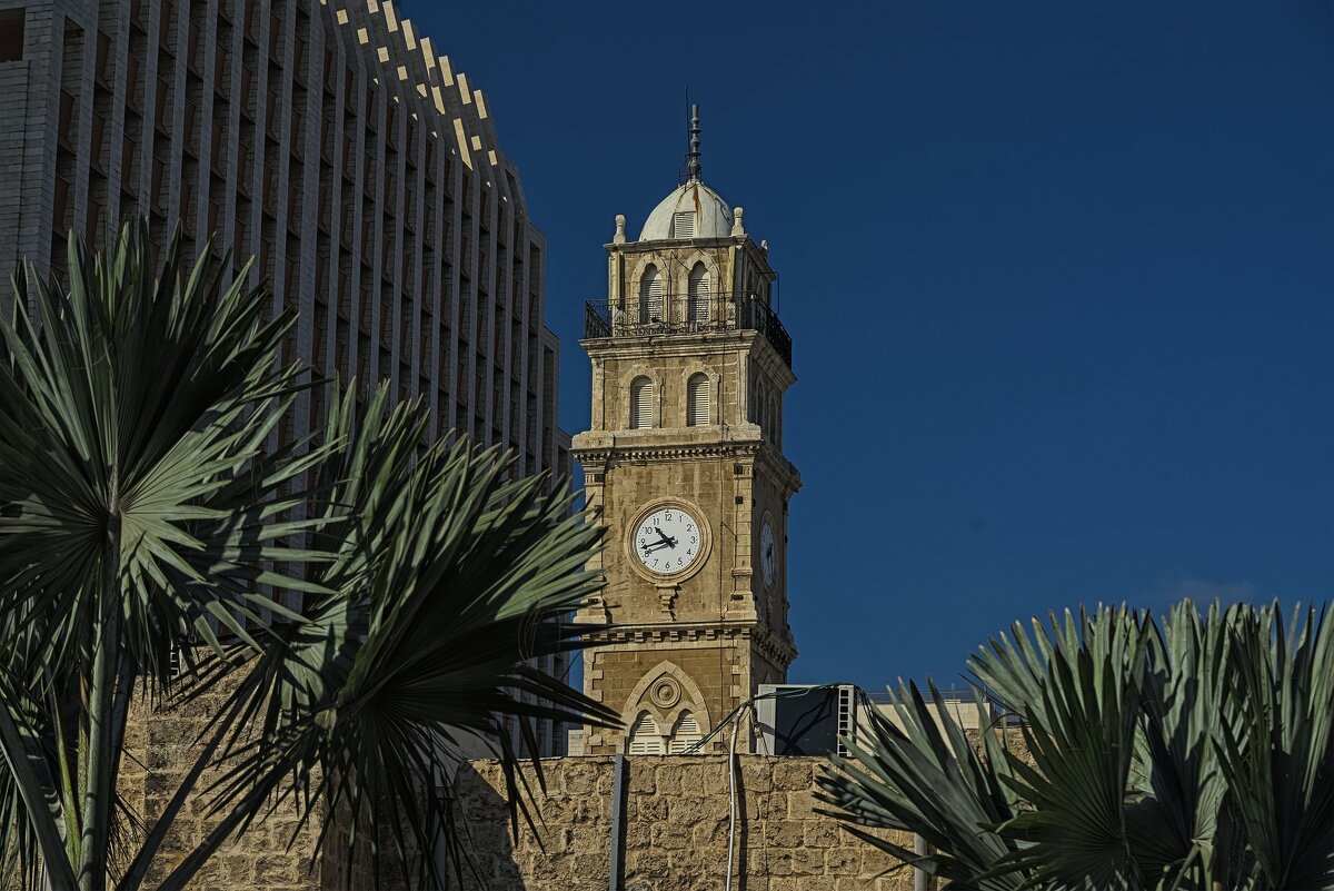 Хайфа 2025г - ujgcvbif 