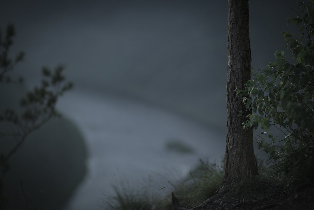 * - Александр Иванов