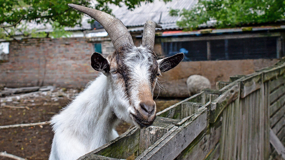 Всегда встречают - Alexandеr P