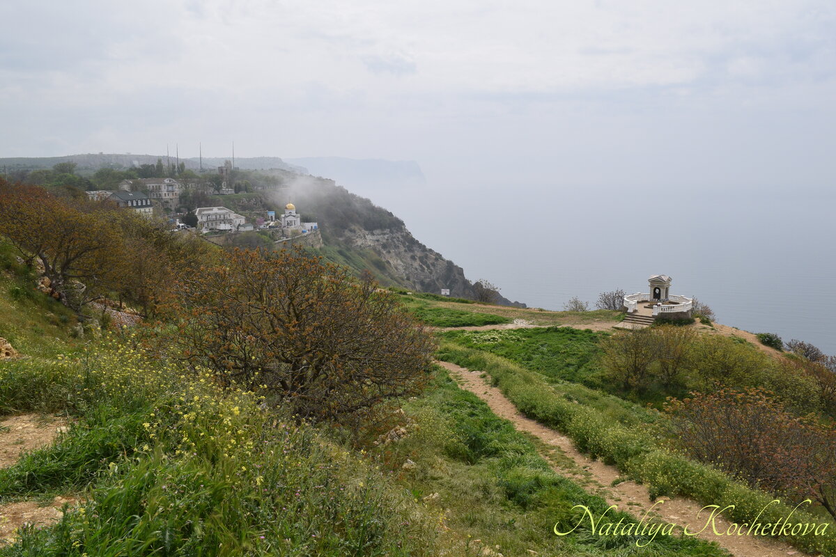 Природа Крыма - Amazing Cosmea