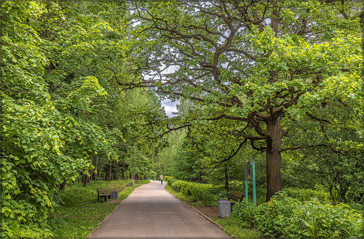 Парки Москвы - Aleksey Afonin