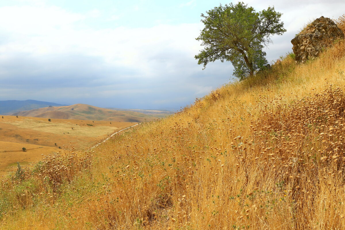 про лето - Andrey Bragin 