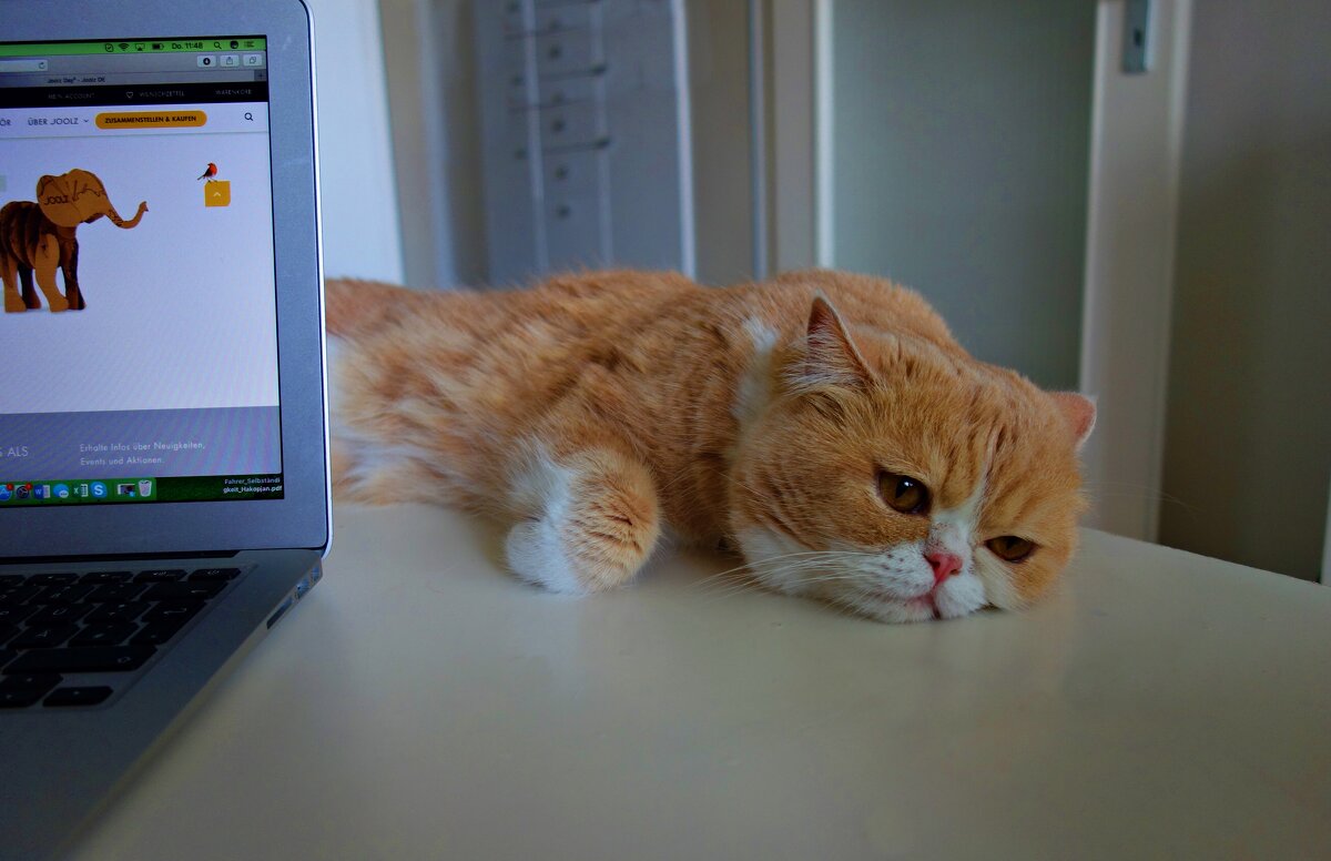 Грустинка...)... - Галина 