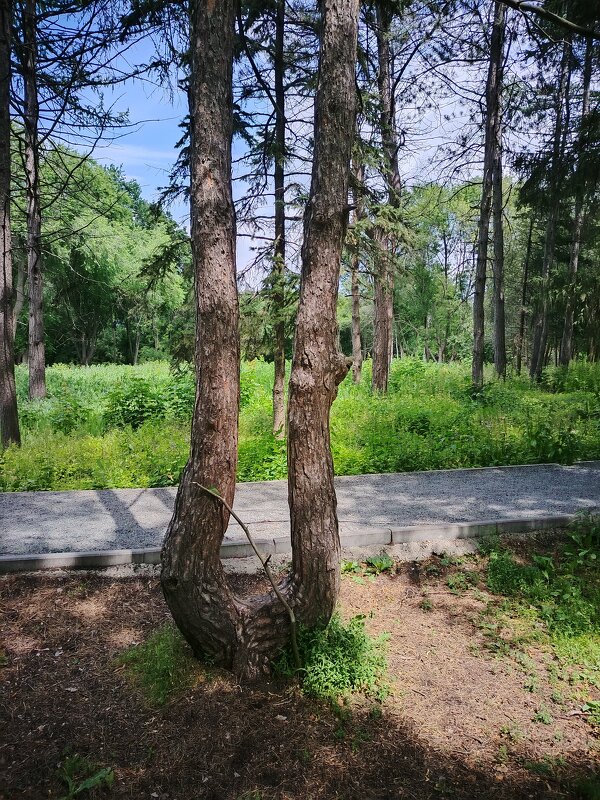 И так бывает! - Надежда И так бывает! - Надежда