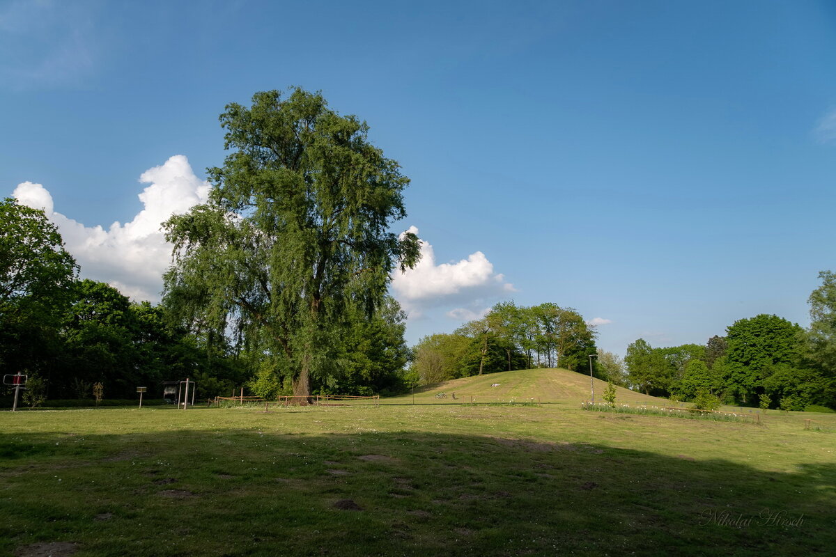 К высокому месту... - Николай Гирш