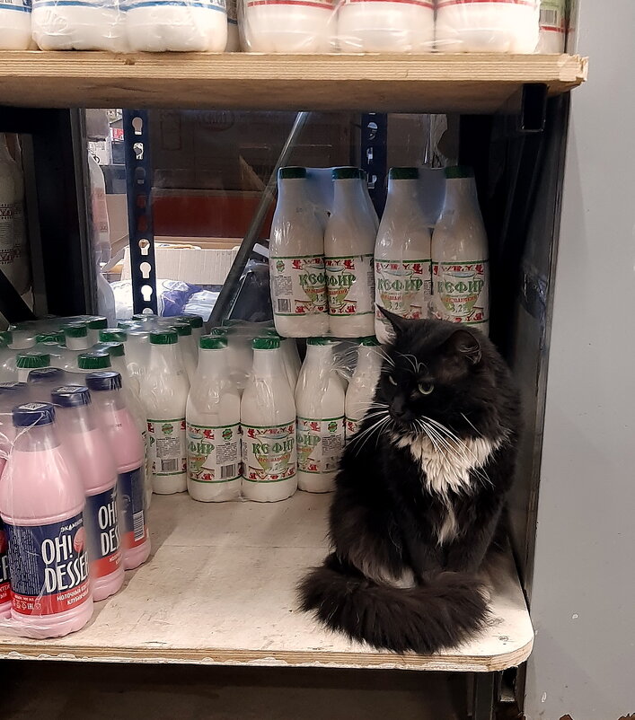 *** - Владимир Захаров