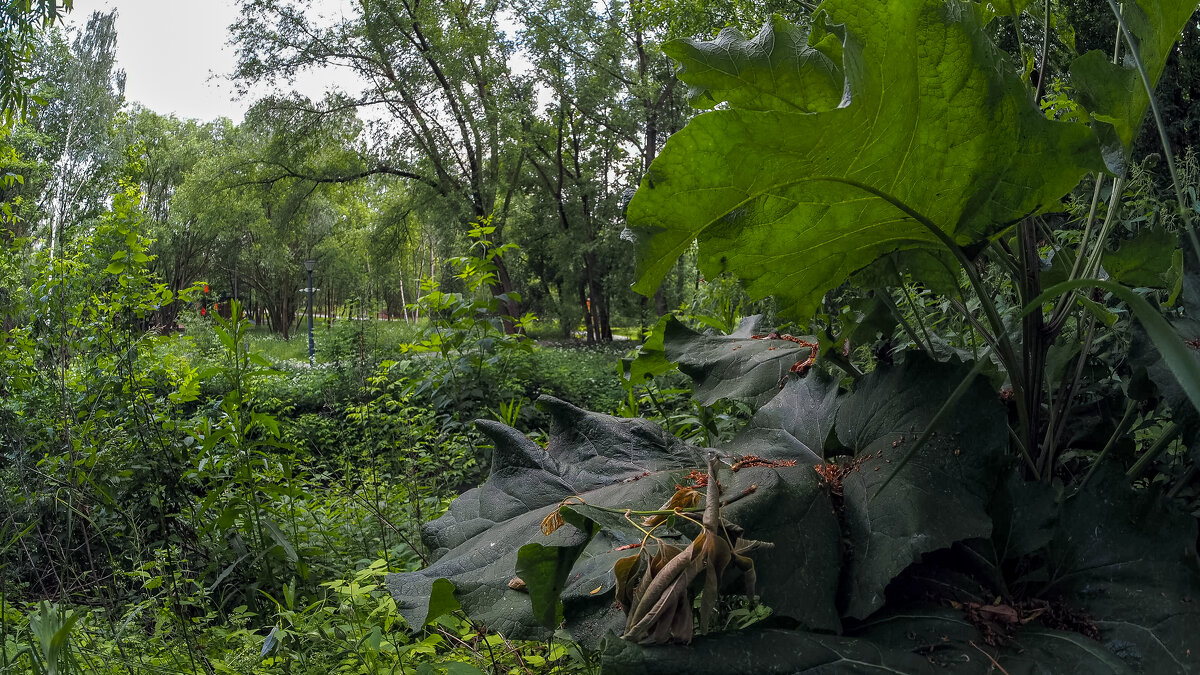 ***** - юрий поляков