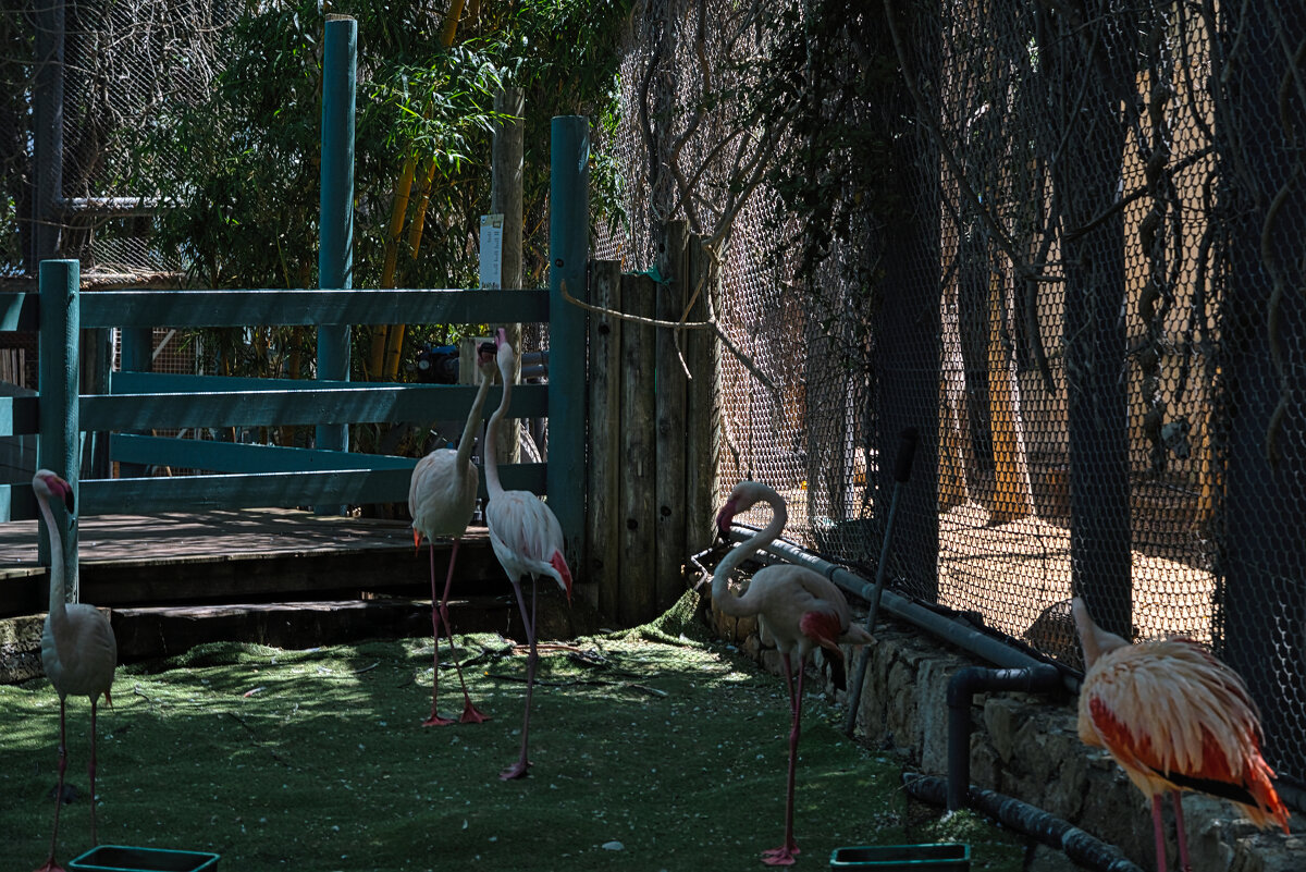 Хайфа 06,2025году - ujgcvbif 