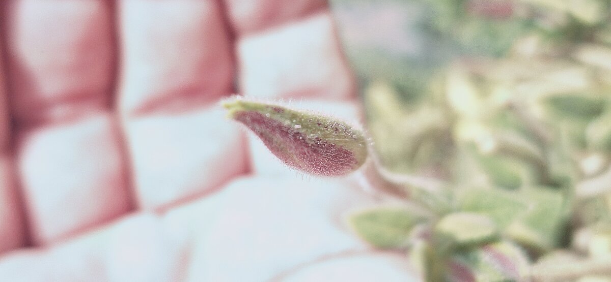 13  ОПЕН (191) - OPEN WAYS ALL