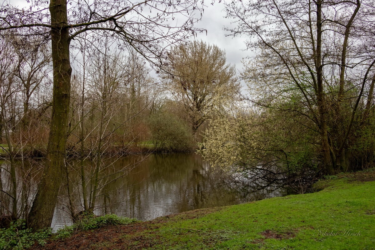 *** - Николай Гирш