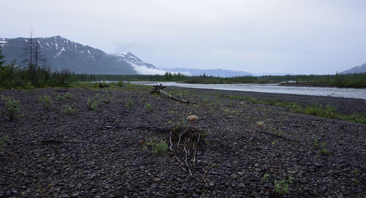 *** - Александр Хаецкий
