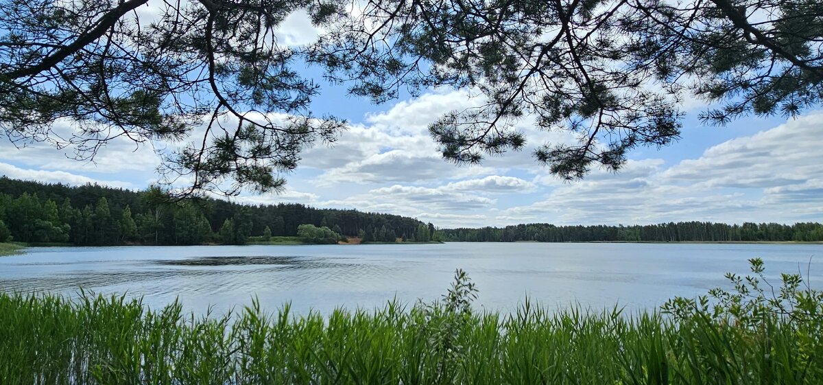 ЯрБайкал - Михаил Свиденцов