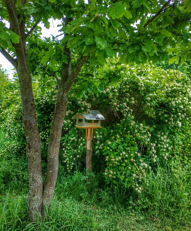 птичкин домик - Валентина. .