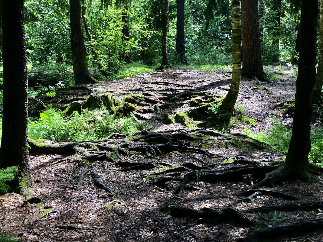 Из коренной жизни…) - Любовь 