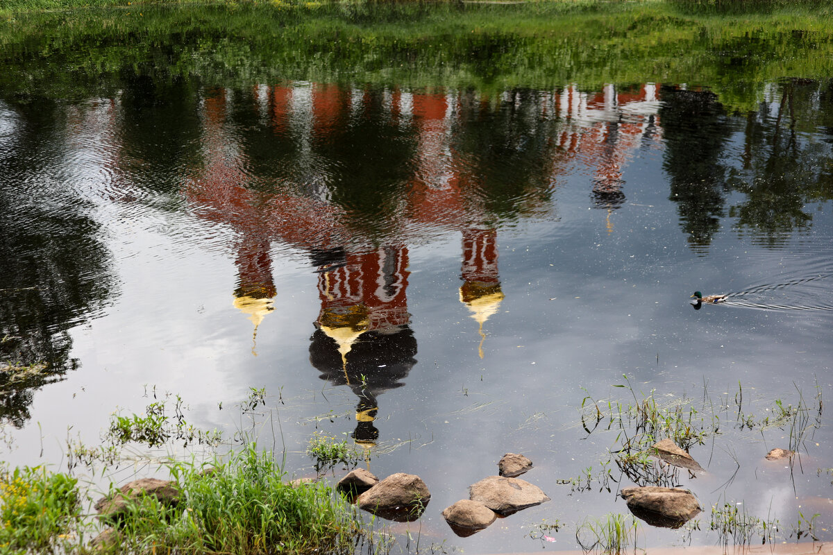 Отражение - Марина Мамаева