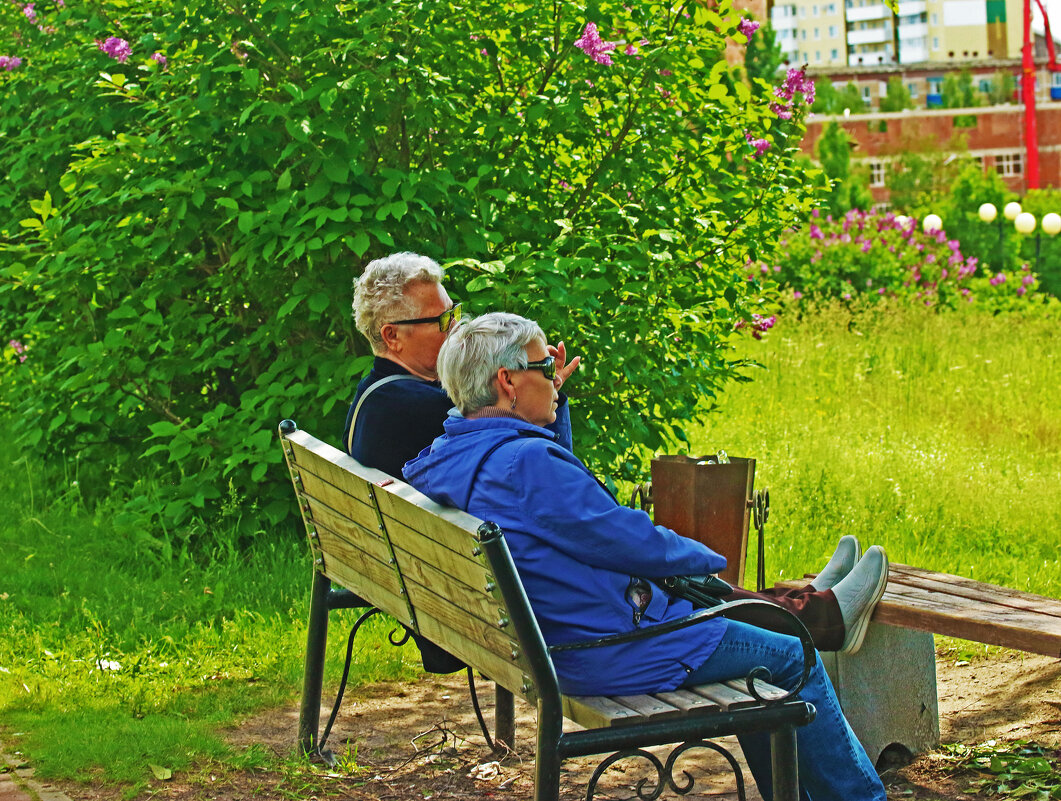 Июнь...Пожилая пара уединилась! - Владимир 