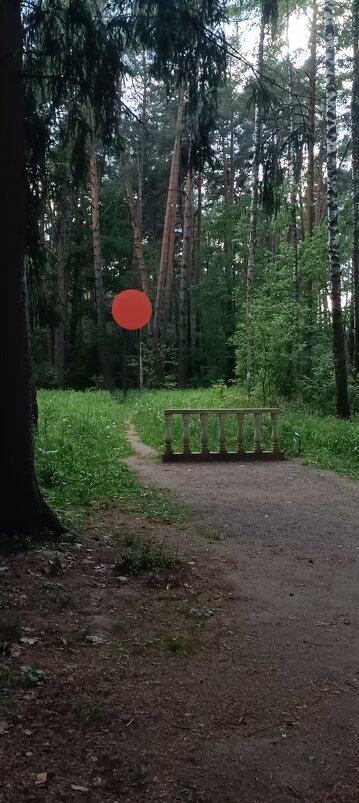 инсталяция«Частное солнце»Леонида Тишкова - Галина R... инсталяция«Частное солнце»Леонида Тишкова - Галина R...