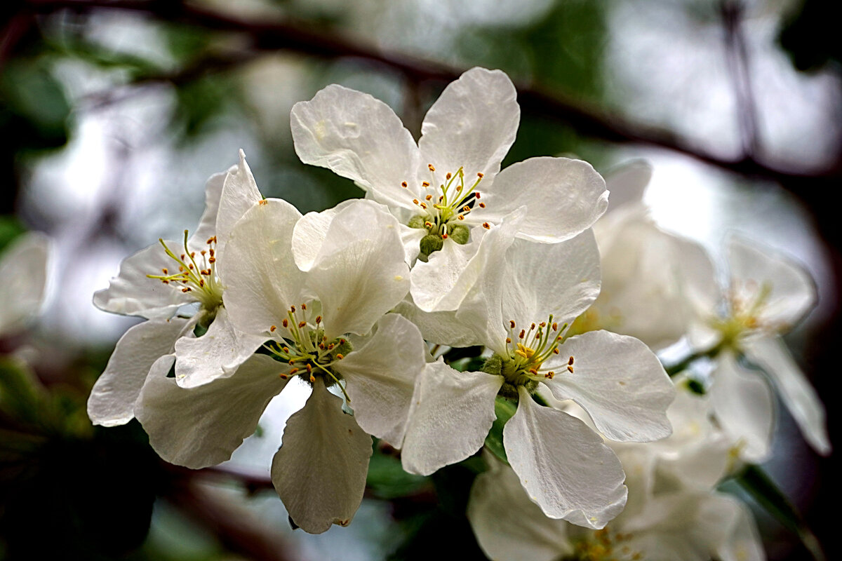 В тени непогоды - Галина Кан