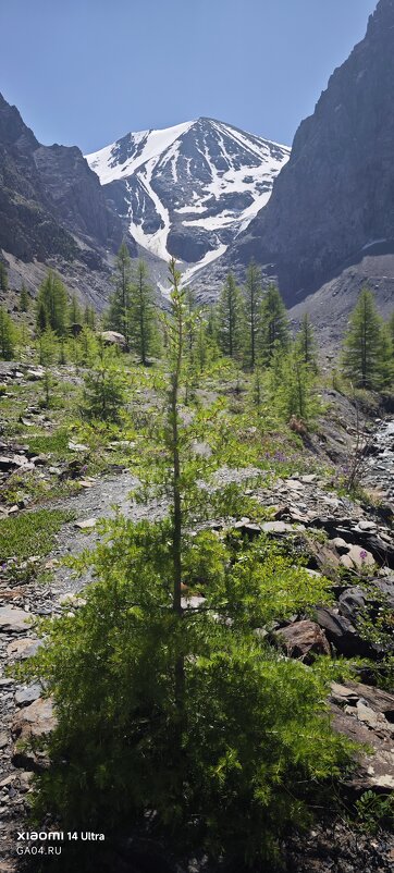 Алтай. Ледники - Александр Чибисов