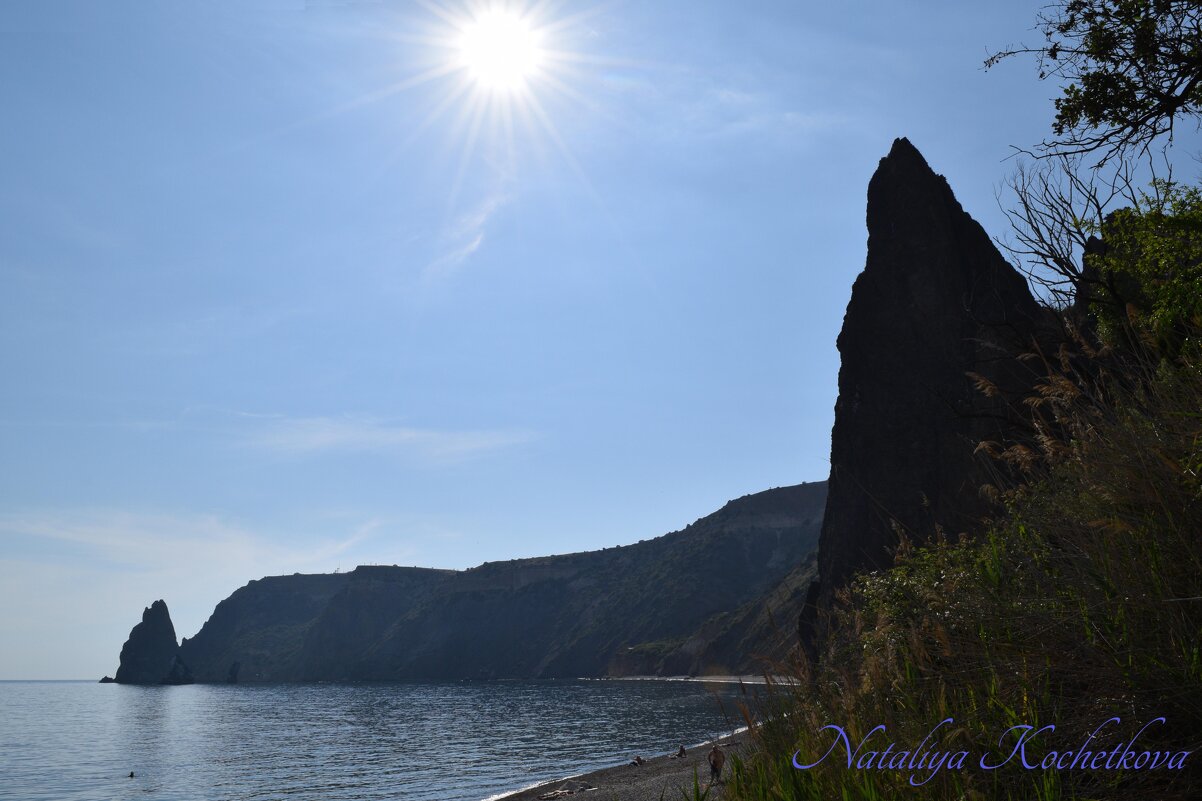 Природа Крыма - Amazing Cosmea