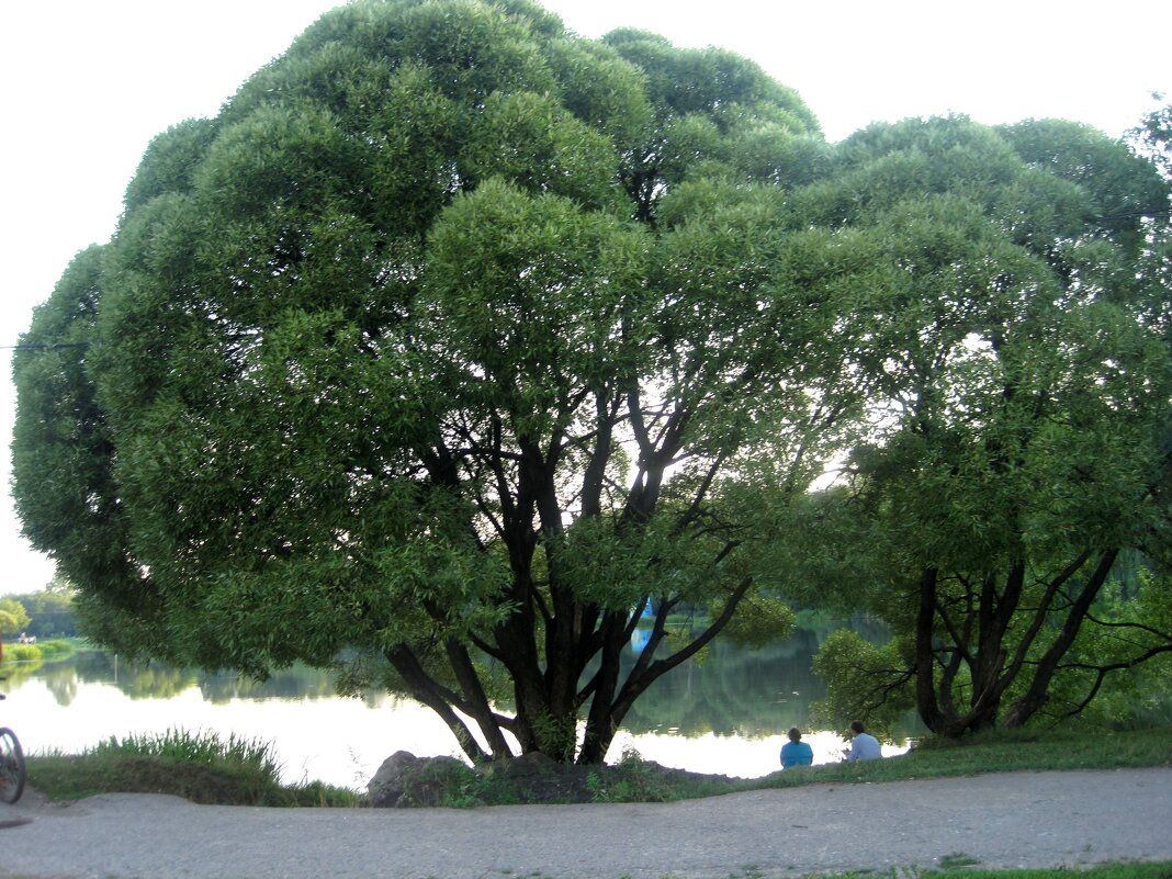 Это было недавно,это было давно - Елена Семигина