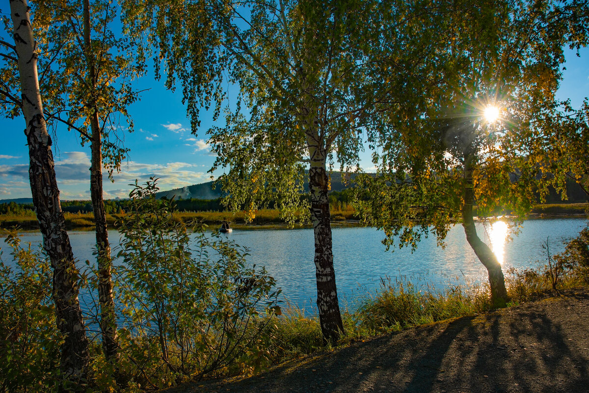 И блещет озеро среди стволов берёз - Vladimbormotov 